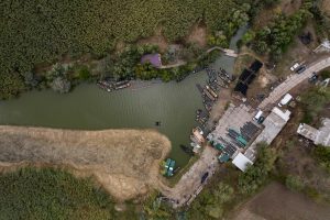 Accotink Creek Flood Zones: Columbia, SC Risk Neighborhoods