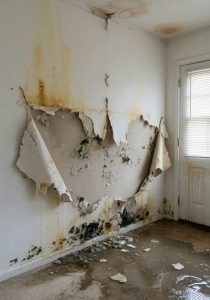 Structural Drying