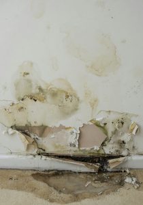 Water Heater Leak Damage