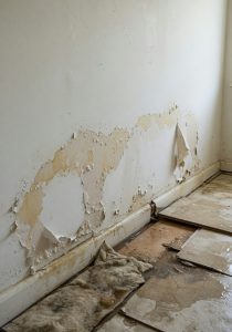 Structural Drying