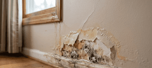 Signs of Structural Water Damage in Walls: What to Look For?