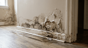Attic Condensation Control and Insulation Drying