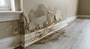 Crawl Space Drying and Sanitization