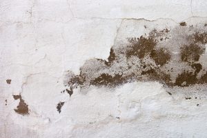 How to Test for Water Damage in Drywall: Simple Methods