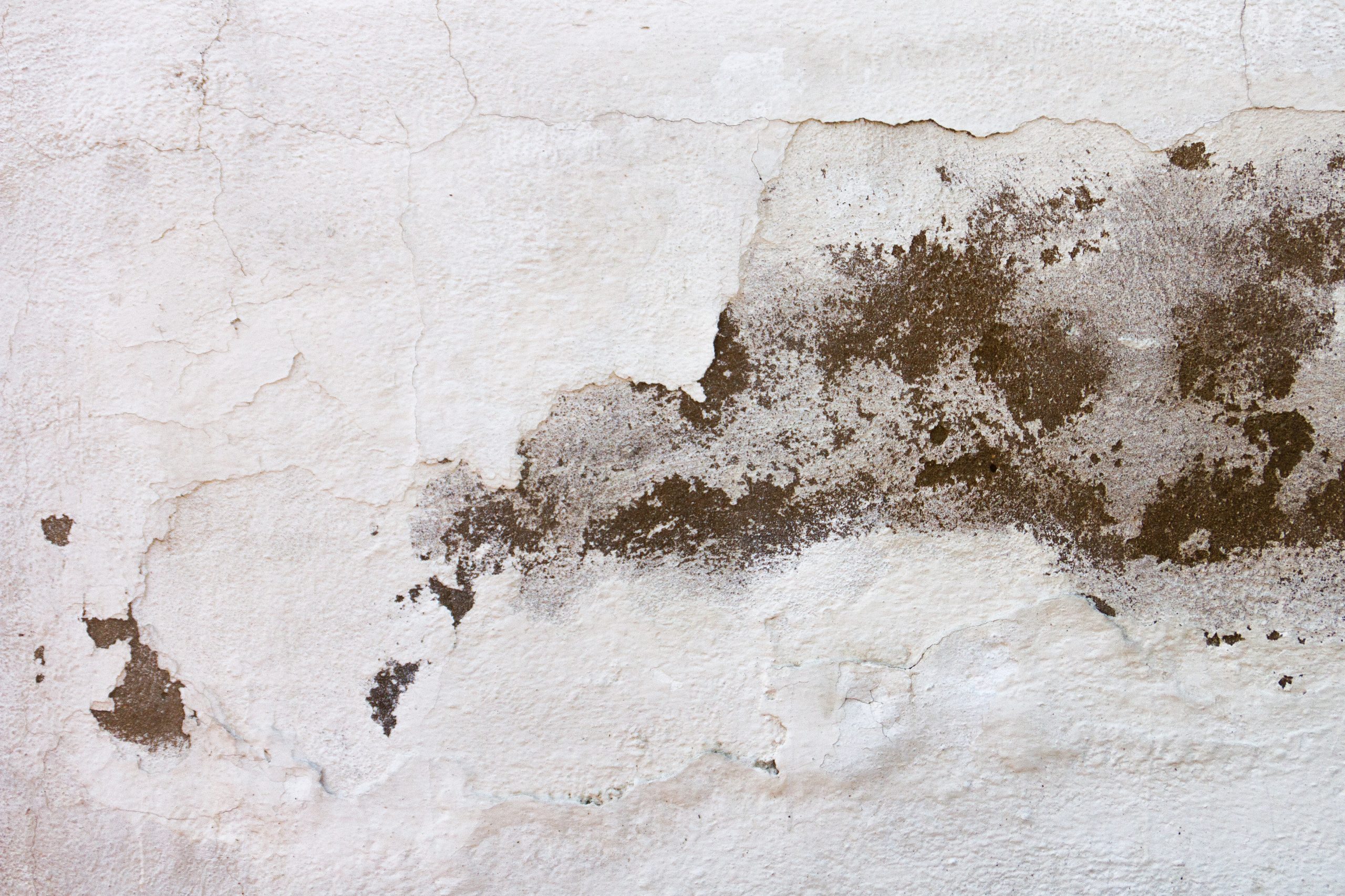 How to Test for Water Damage in Drywall: Simple Methods